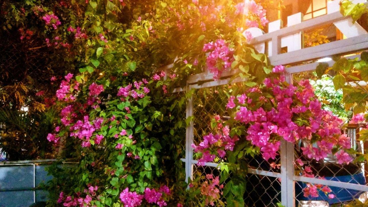 Lapaz Homestay Дананг Екстериор снимка